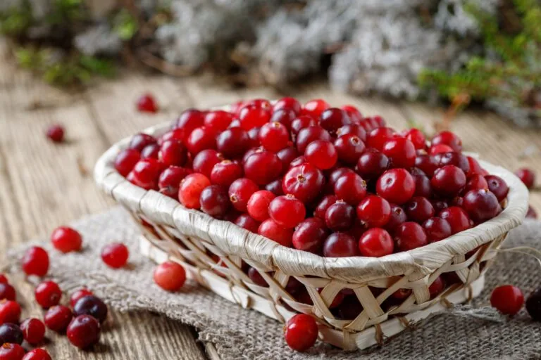 Cranberry