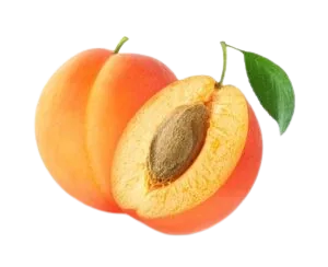 Abrikoos