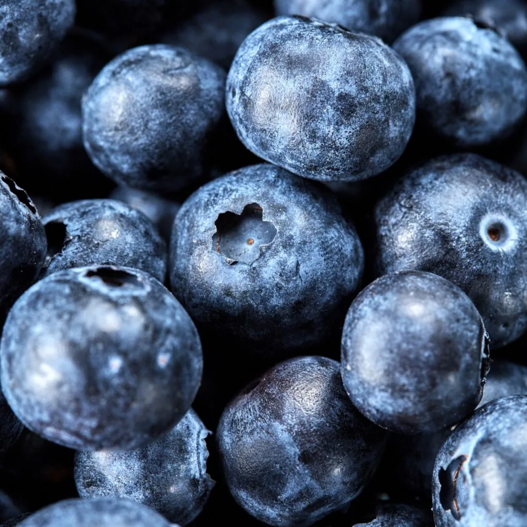 Blauw bes