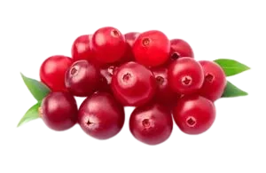 Cranberry