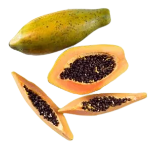 Papaja