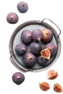 Vijg
